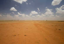 Free State declared a drought disaster area Free State declared a drought disaster area