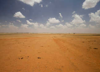 Free State declared a drought disaster area