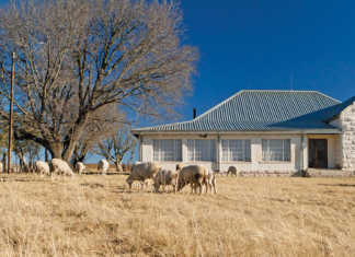 More money for black farmer development in Mboweni’s budget