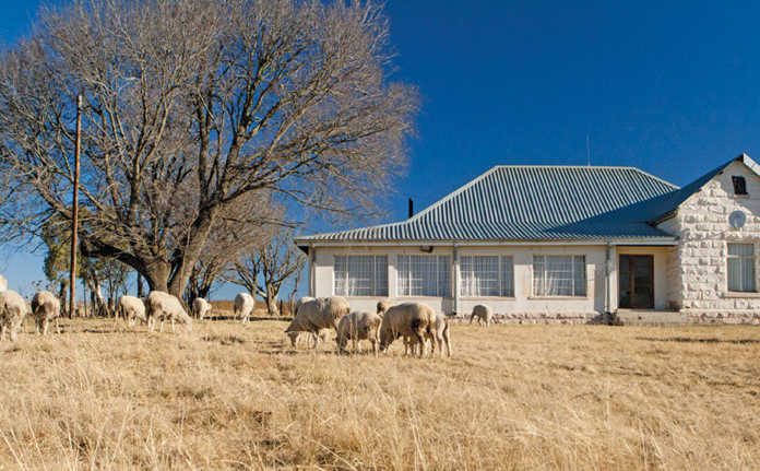 farm-land-with-sheep