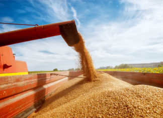 ‘Research needed to mitigate food insecurity in Africa’ ‘Research needed to mitigate food insecurity in Africa’