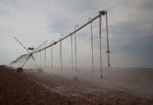 Agri sector highlights negative consequences of load-shedding Agri sector highlights negative consequences of load-shedding