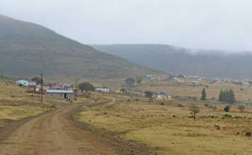 Rural human settlements could threaten farmland – report