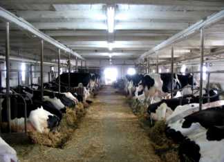 Government bailout for Canadian farmers Government bailout for Canadian farmers