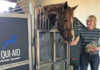 Equine hydrotherapy for leg injuries