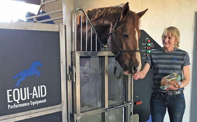 Equine hydrotherapy for leg injuries Equine hydrotherapy for leg injuries