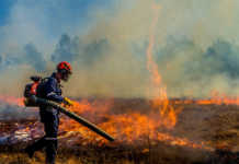 Husqvarna: The right tools to fight winter veldfires