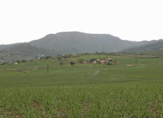 Smallholder support to be expanded in Southern Africa Smallholder support to be expanded in Southern Africa