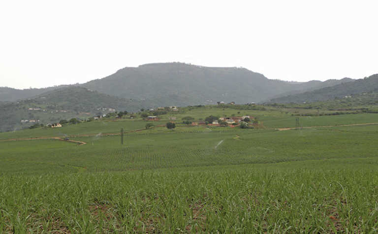 Smallholder support to be expanded in Southern Africa Smallholder support to be expanded in Southern Africa