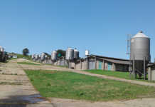 No neglect of R14 million poultry houses - eThekwini Municipality