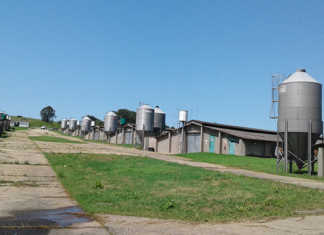 No neglect of R14 million poultry houses - eThekwini Municipality