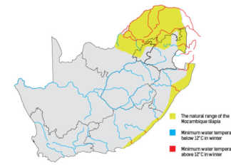 Which fish should be farmed in SA, and where?
