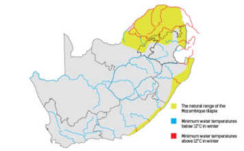 Which fish should be farmed in SA, and where?