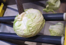 Agro-processing entrepreneurs urged to ‘do their homework’ gro-processing entrepreneurs urged to ‘do their homework’