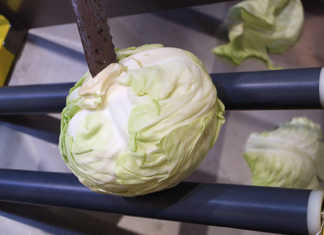 gro-processing entrepreneurs urged to ‘do their homework’