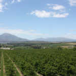 ‘Urgent overhaul of land reform process needed’