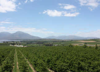 ‘Urgent overhaul of land reform process needed’ ‘Urgent overhaul of land reform process needed’