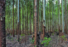 Solid interim results for TWK Solid interim results for TWK