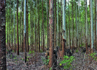 Solid interim results for TWK