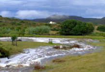 Drier winter awaits Swartland farmers – weather expert