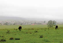 New farmers require “compassionate” financing - Mlengana