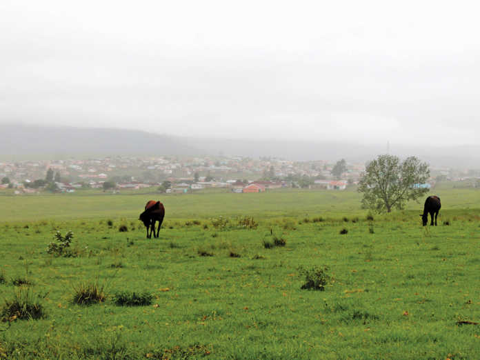 New farmers require “compassionate” financing - Mlengana