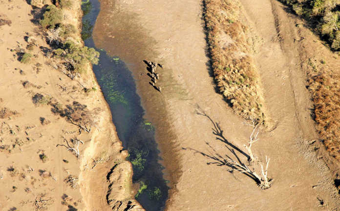 The Bateleurs: Flying animals to safety for 20 years