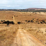 Grazing camps