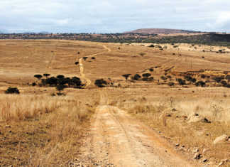 Grazing camps