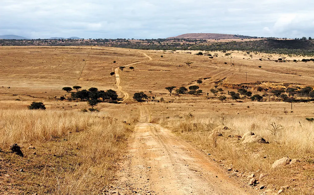 Grazing camps