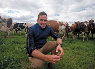 Huguenot Farms dairy manager Stuart Marais