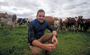 Huguenot Farms dairy manager Stuart Marais