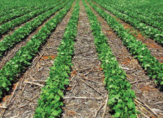 Residues from harvested crops