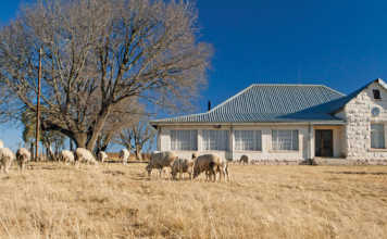 A testator's last wishes - what to expect