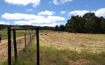 The importance of having a well-drafted and valid will