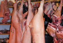 Swift action contains swine fever outbreak