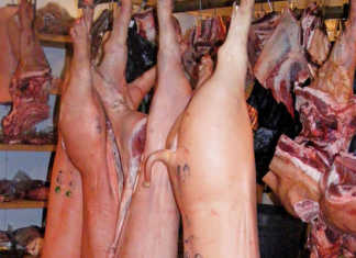 Swift action contains swine fever outbreak Swift action contains swine fever outbreak