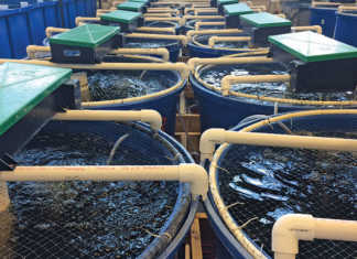 Shortcomings of modern water pumps