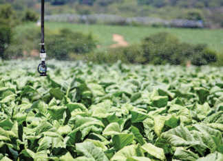 Zimbabwean farmers claim R1,9 billion from SA government Zimbabwean farmers claim R1,9 billion from SA government