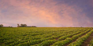 US$16 billion aid plan for US farmers as trade war intensifies