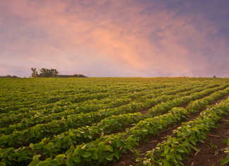 US$16 billion aid plan for US farmers as trade war intensifies