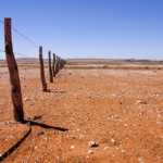 Persistent drought forces Australia to import wheat