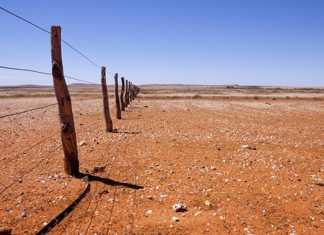 Persistent drought forces Australia to import wheat