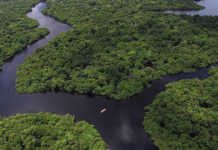 Concerns about EU-South American trade deal