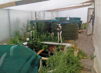 Cut-down domestic water tanks