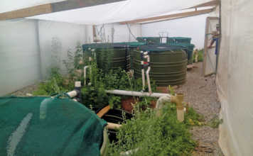 Cut-down domestic water tanks