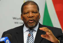 Nkwinti in hot water over Public Protector’s findings