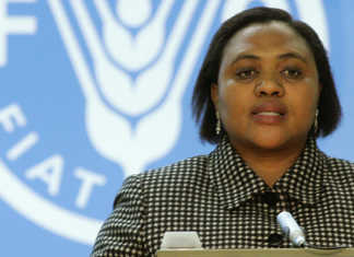 Thoko Didiza