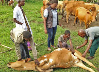 Deomocratic Republic of Congo