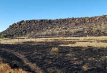 Free State farmers urged to prepare for wildfire season Free State farmers urged to prepare for wildfire season